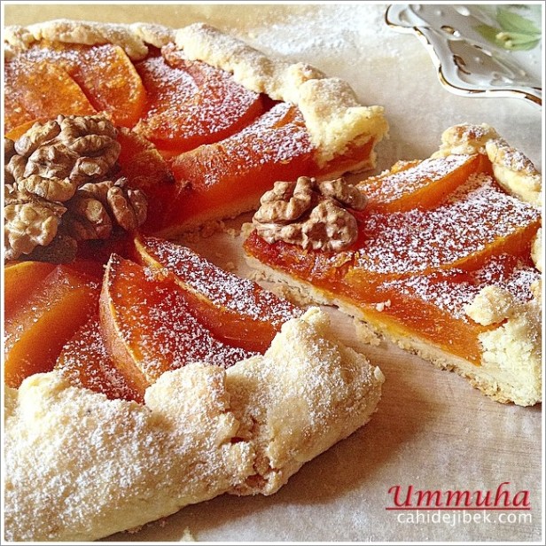 10731802_310783485788474_1274714641_n