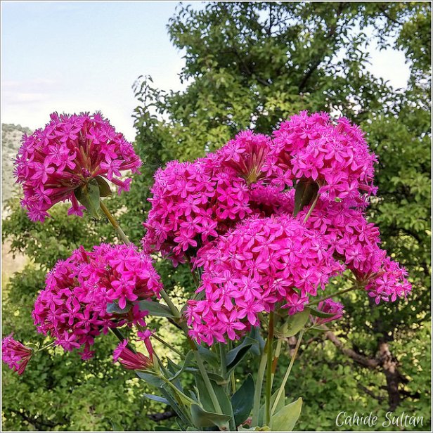 19307940376_23e4d9270b_z