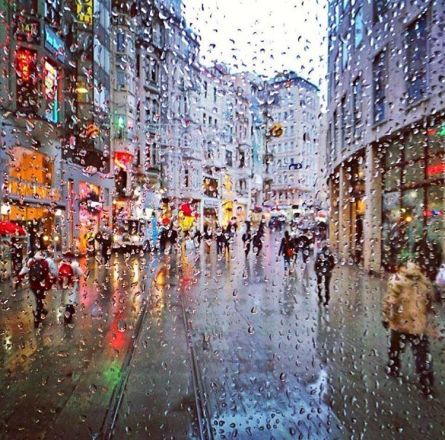 12424889_963848723694846_1446074199_n