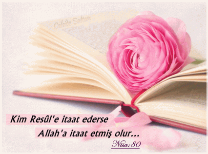 romantic_book-wallpaper-1366x768