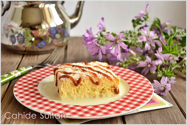 13933498407_a75023f811_z