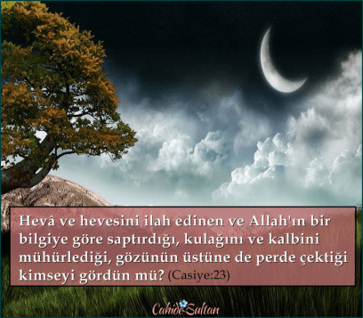 1620652_1392513794346517_1069313501_n