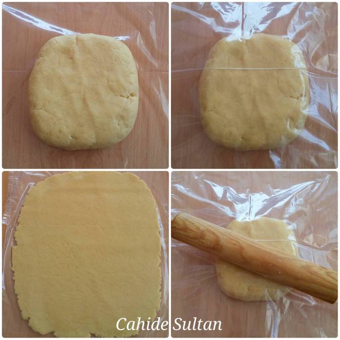 12729403_473286516207271_1261999197_n