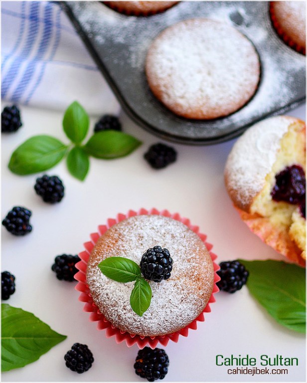 22459536054_ec0ff6135b_c