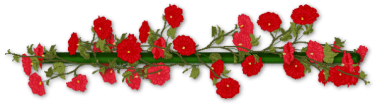 0328095052251_35_red-flower-line
