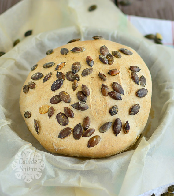 22526175156_c567322285_z