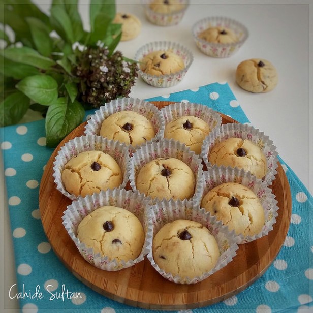 19588002910_c889fe6a8b_z