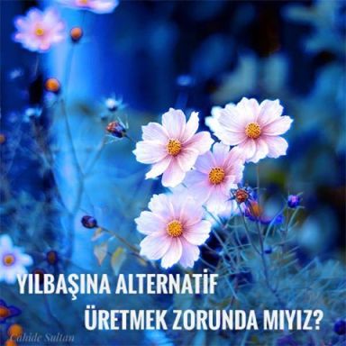 15823310_1433870806658152_8737364672907502047_n