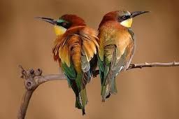 p17qn1e3b7u8e1vcb1dlogu24gv3