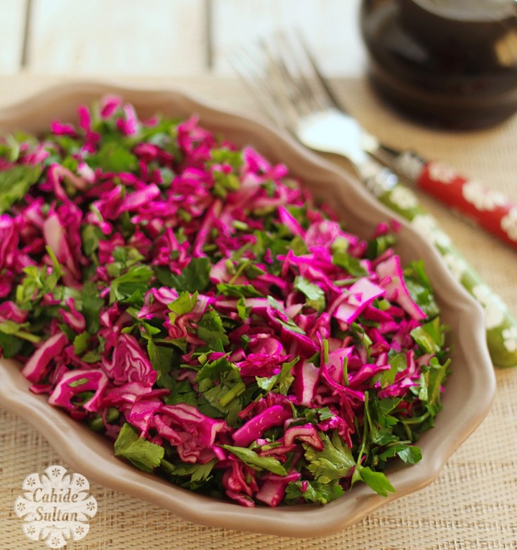 mor lahana salatası salata1