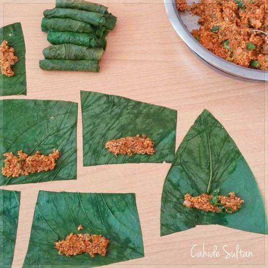 11242659_1574809249439003_1657405960_n