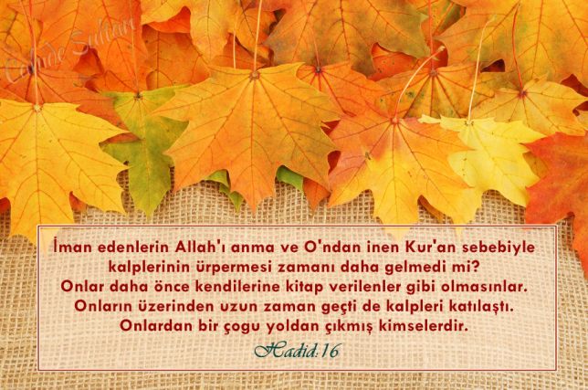 21306824389_c0a18afdb7_b