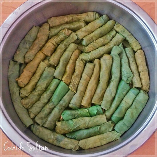 11191269_466840796799513_1766738829_n