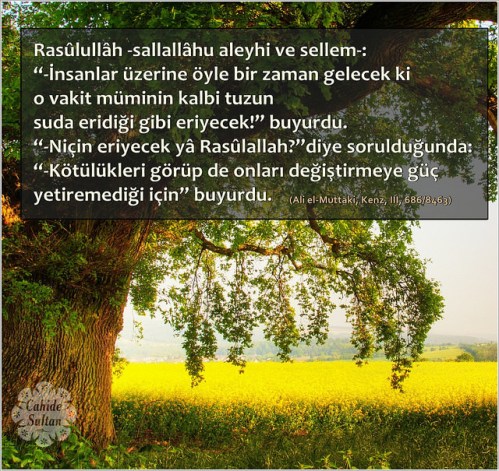 24474601834_218266bc87_z