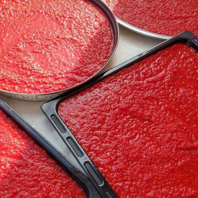 11850040_1669641966587172_870840367_n