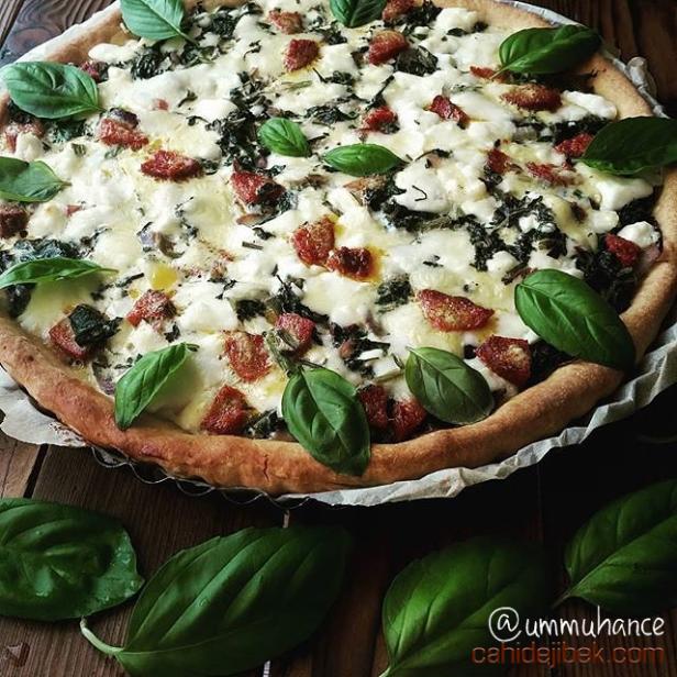 11909369_517035085118768_179373726_n