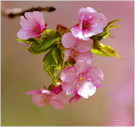 Bu devirde çocuk yetiştirmek