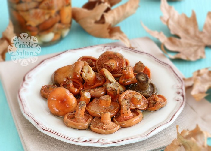 23125608475_75a3916f60_c