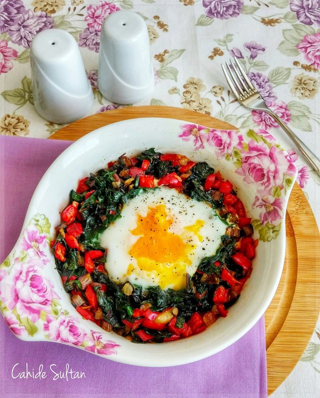 21391553543_066b8ed81a_h