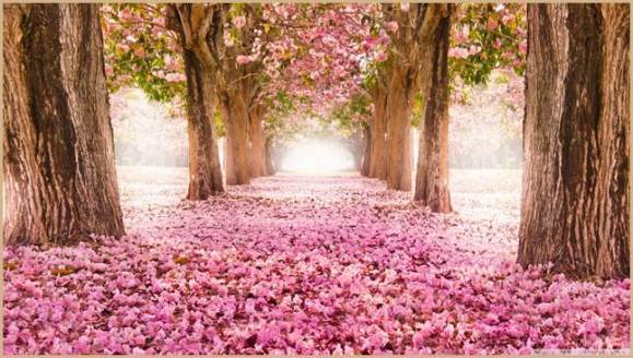 love_path-wallpaper-1366x768