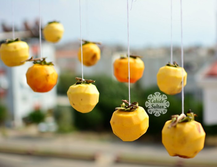 22590820740_6073e22457_c