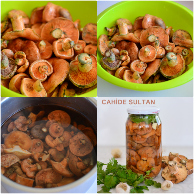 23099512626_3e904a7cb5_o