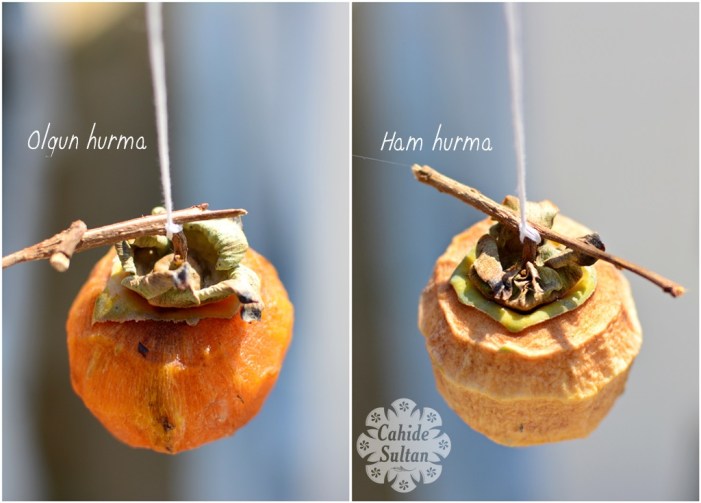 22765251322_97414185cc_o