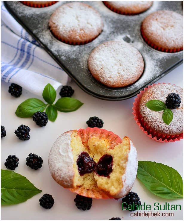 22690057499_0db8d77be8_c