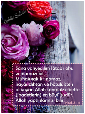 10606369_928227620555809_7357083201557562073_n