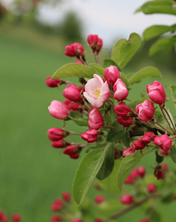 tumblr_o7jnwjuD5u1tlwl4uo1_500