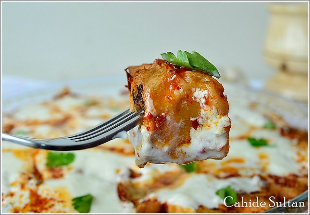 14107885642_b56b0a79ce_z