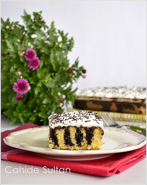 14140732334_c831628be5_z