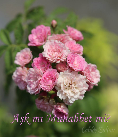 tumblr_no701ex8IF1spv306o1_1280