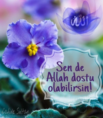 21803652606_df2f99481a_o