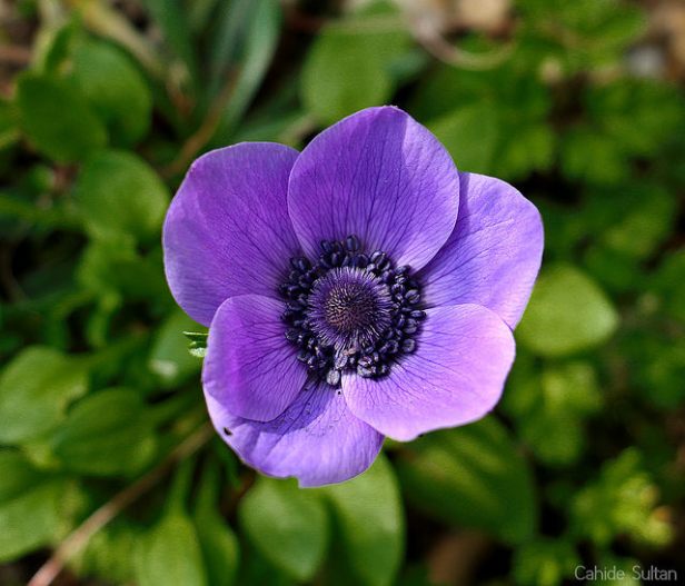 25360825226_6d86f1bfc0_z