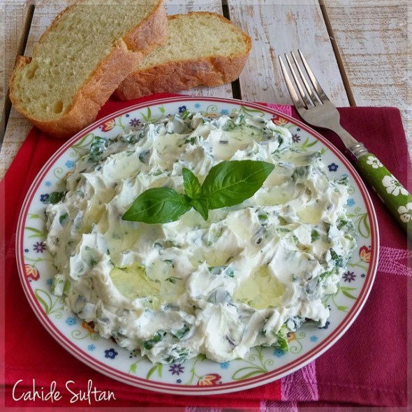 11377511_1447368665581441_229165616_n