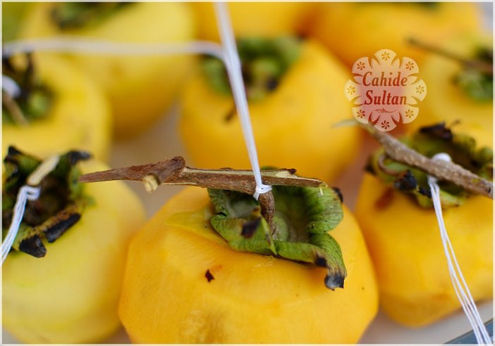 22157652353_a8321ed1d1_c