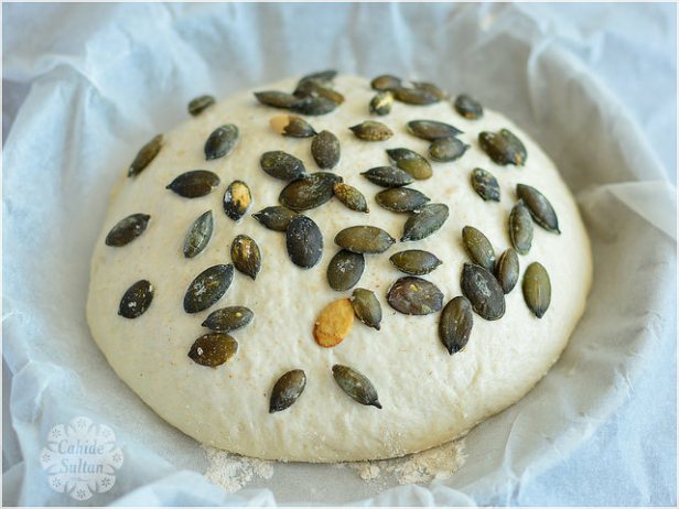 22563361591_63b1c37f34_z