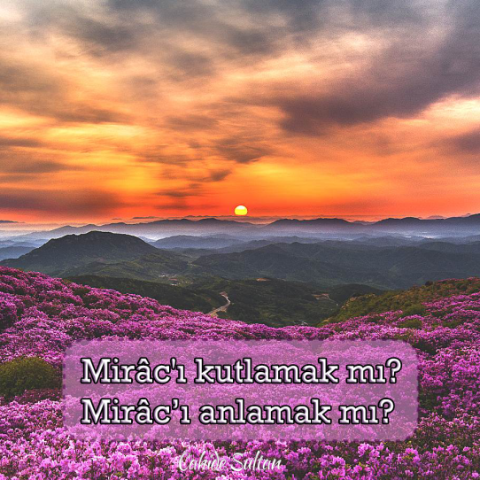 tumblr_nnzll8x3Ot1u8wonlo1_1280