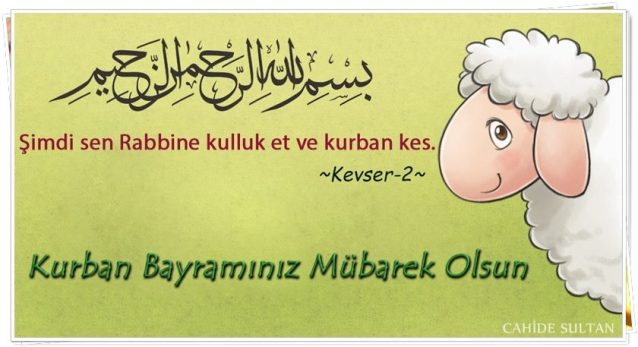 1378697_649934248385149_1909420335_n