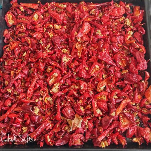 20714440422_5dc38b74fd_z