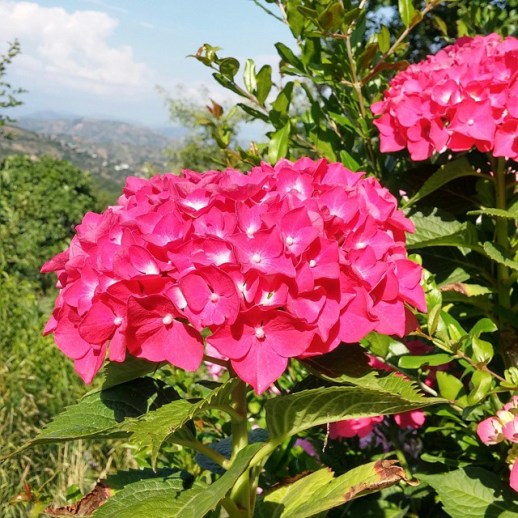 11380922_1593049350959274_337970131_n