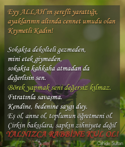 25534022485_bc2266b573_o