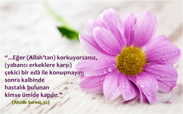 pink-wet-flower-hd_tn2