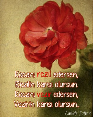 Kocan mı kölen mi?