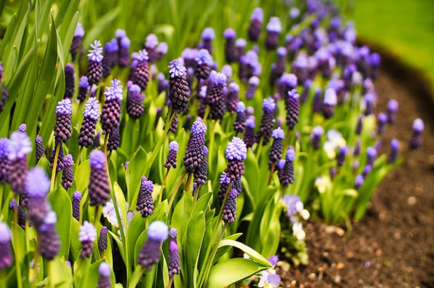 13726335155_7da94773df_z