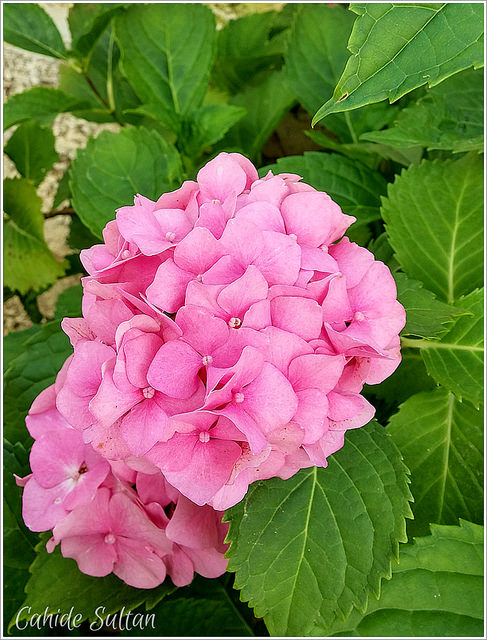 19307853016_a0127f05f4_z