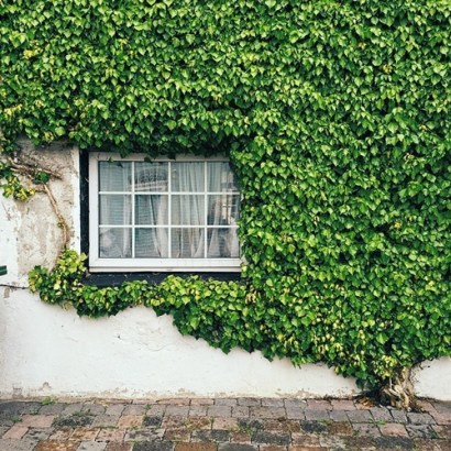 tumblr_np8gyxA8l11shc1wyo1_1280